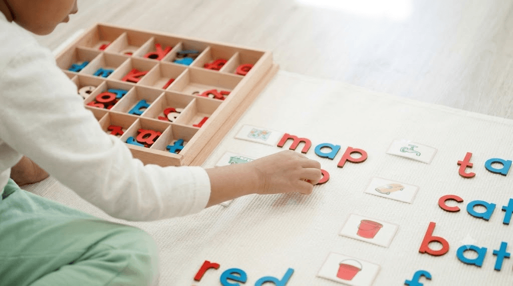 Diploma in Montessori Teacher Training